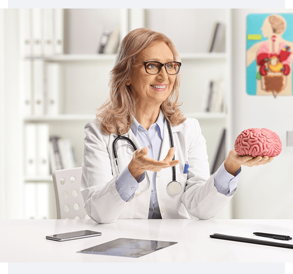 Female doctor holding a brain model in a medical office.