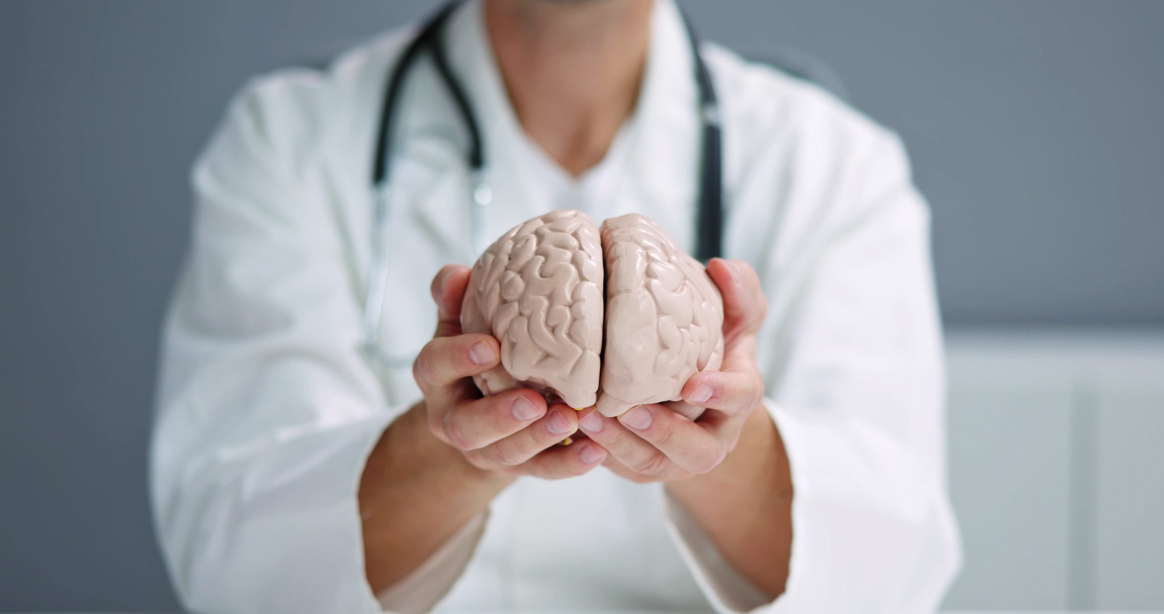Doctor holding a model of a human brain.