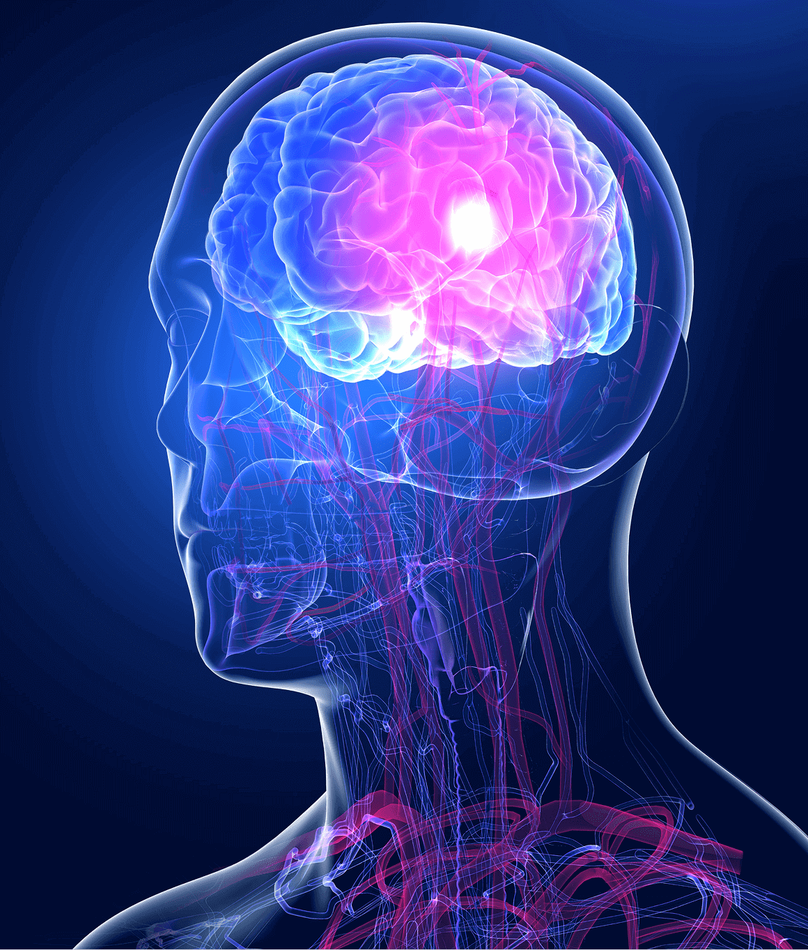 Digital illustration of human brain activity with glowing neural connections.